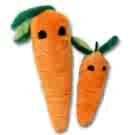 I love carrot - My pet bunny loves to eat carrot.