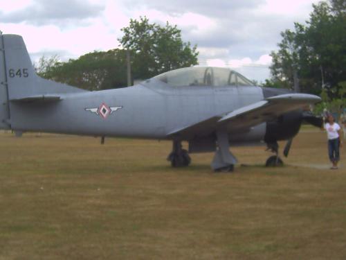 plane -  look, its a plane!