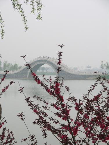park near my campus -  delicate bridge,breeze,mild weather,beautiful flowers and your imagination,isn't it romantic?