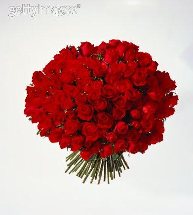 roses - a bunch of red roses