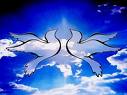 peace - two doves of peace