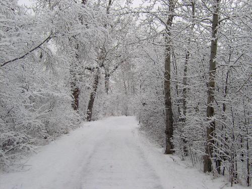 Winter Run - I live for runs like this. Nobody around, fresh snow and such complete silence and natural beauty..