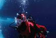 scuba diving - diver or diving around the world