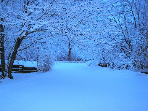 Fresh snow in New England - Freshly fallen snow in rural New England.