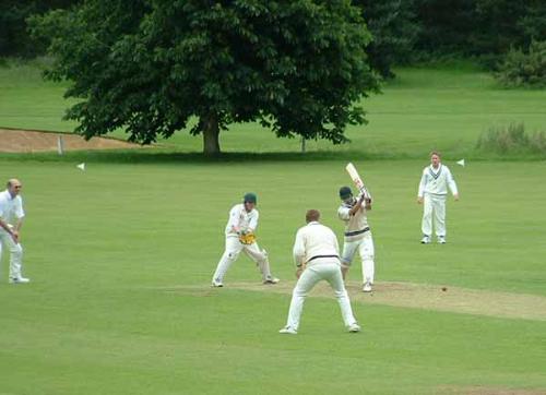 cricket in full flow - cricket at its best