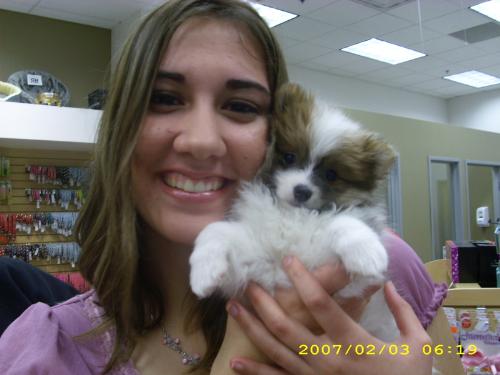 Me with a puppy from the mall - A was just visiting a little dog store in the mall and a worker there let me hold this ADORABLE puppy. He then told me he'd be right back and walked away! I thought he was either really trusting or I just looked really innocent lol. I was very tempted to walk away with the puppy ;P just kidding, but, isn't he cute!