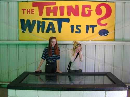 The Thing! Mystery of the Desert. - The Thing! Mystery of the Desert. A very funny I I mean scary attraction roadside in New Mexico.