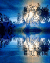 My Display Pic - This is My Display Pic