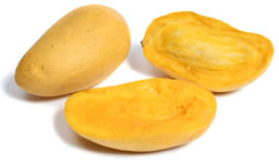 mango is king of fruits - mango is king of fruits. mango is sweet in eating
