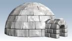 Igloo - Igloo is house made of snow in which Eskimos live
