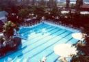swimming pool - 50 meter olympic sized swimming pool