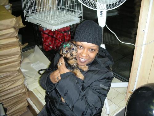 My and Cocktail - Here is the newest member of my already wonderful family! isn't she just the cutiest little thing ever