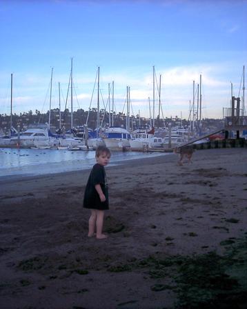 Schoonmaker Beach - Sausalito, Marin County