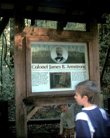 Armstrong Redwoods - Giant Redwoods, Sonoma County