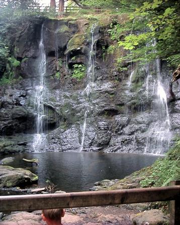 Glenariffe Forrest - Northern Ireland