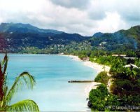 carribean - white sandy beach in carribean