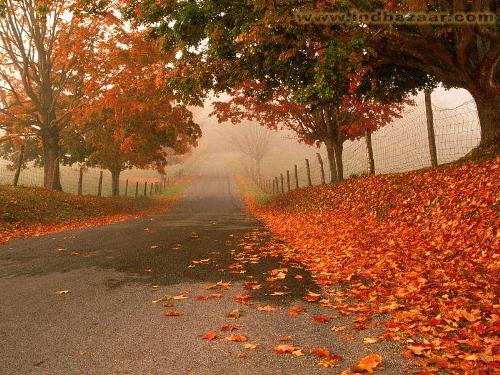 path to success. - take the path towards success and u will finally reach ur goals.