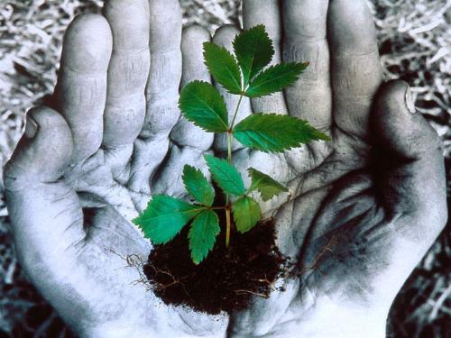 Hands. - We r in the hands of the almighty who is always there to take care of us.
