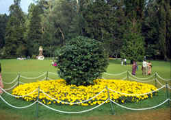 Botanical Garden in Ooty - The beautiful picture of the Botanical Garden of Ooty