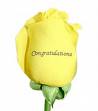 congrats - congratulations to all