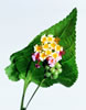 flower - yellow flower