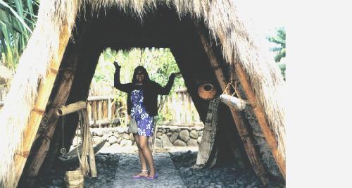 Little Hawaiian Hut! - Here's a picture of me in a lil' Hawaiian hut (It's just for looks! They don't really live in them anymore!) Little Hawaiian Hut! - Here's a picture of me in a lil' Hawaiian hut (It's just for looks! They don't really live in them anymore!)