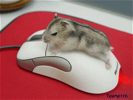 Mouse to Mouse - This is must for everyone to see and learn the Moral.