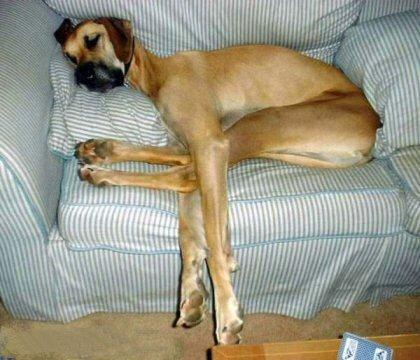 Sleep like this - Do u sleep like this without any problem