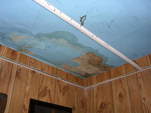 Ceiling damage from squirrel hole in roof. - This is the spot below one of the hiles the squirrels had chewed in the attic. Now that he roof is fixed, we have to repair the cieling, too.