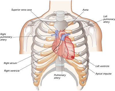 Heart Attack - Details of a heart attack