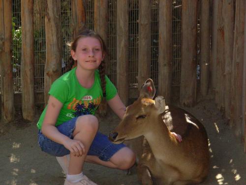 alex and deer - at the wild animal park
