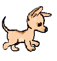 ASPCA needs our Support *click for more info* - Join the ASPCA in supporting the Animals Matter to Me campaign, which seeks to achieve global recognition that animals are sentient beings, capable of feeling pain and suffering. Please add your name to WSPA’s petition to let governments of the world know that we are serious about achieving a Universal Declaration on Animal Welfare at the United Nations. 

http://www.aspca.org/site/PageServer?pagename=animalsmatter 