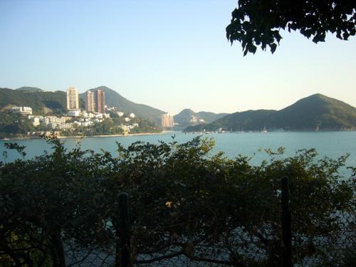 hong kong - hong kong pictures