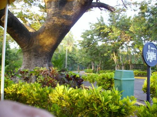 Montelimar, Nicaragua (Barcelo Resort) - I took this picture when we went to Barcelo Resort which is a beautiful place.
