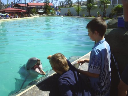 Dolphins at Six Flags - Vallejo, California. I love dolphins!