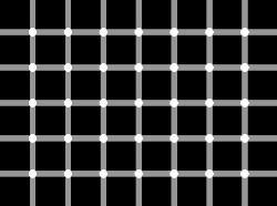 Black dots - Try to count the black dots