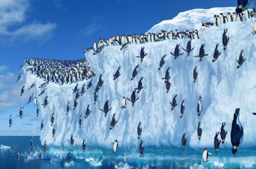 happy feet - Scene from Happy Feet where the penguins jump in the ocean