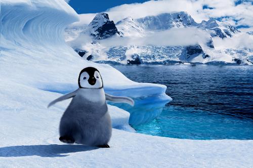 happy feet - Mambo the dancing penguin...