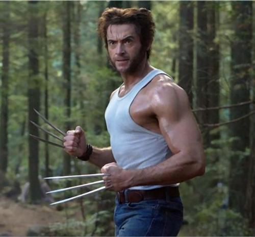 Wolverine - Image of the character Wolverine portrayed by Hugh Jackman in the X-Men Movies