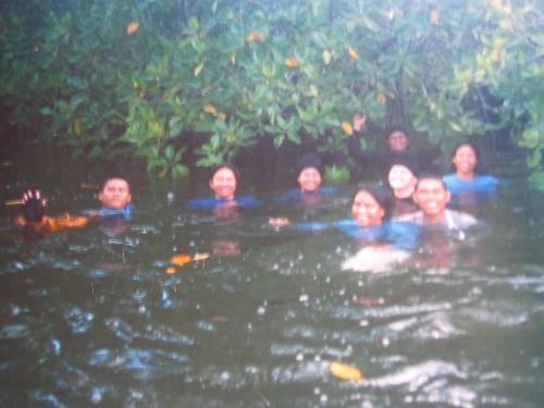 mangrove survey - during one of our field survey. the water was very high.