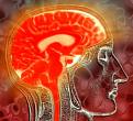 human brain - i think HUMAN BRAIN is te fastest moving thing in the wirld...