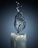 water - its a cool photo wid a difference ..ofcourse it is a graphic image...