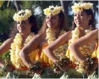 hawaii - hawaii dancers