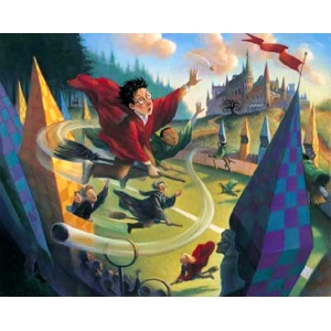 Quidditch field - Harry Potter and Quidditch field Quidditch field - Harry Potter and Quidditch field