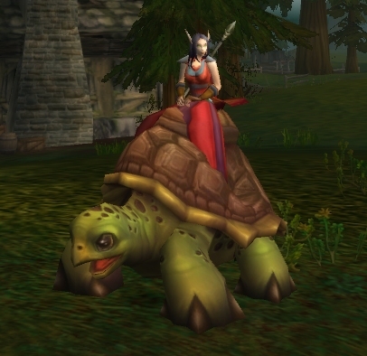 My WoW Riding Turtle - The riding turtle that you can get from a loot tcg card in World of Warcraft