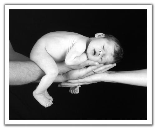 little baby in hands - nice little baby in his father's and mother's hands.