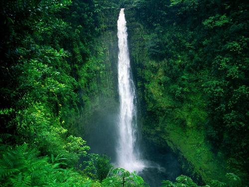 falls of hawaii - Akaka Falls, Big Island, Hawaii