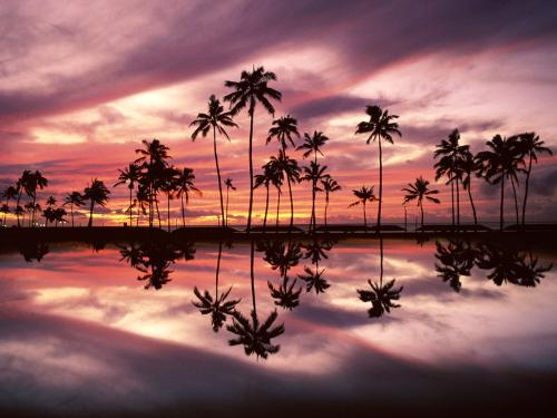 beach - Ala Moana Beach Park, Honolulu, Oahu, Hawaii