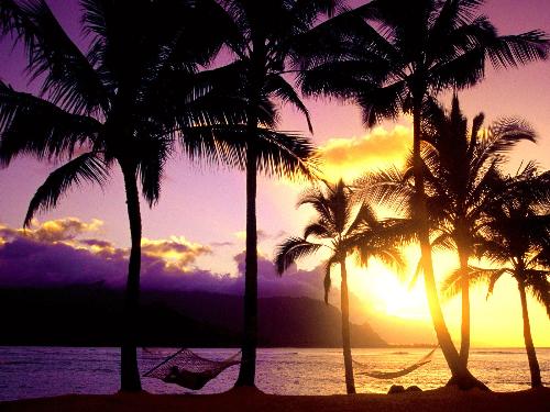 An Afternoon in Paradise - Kauai, Hawaii