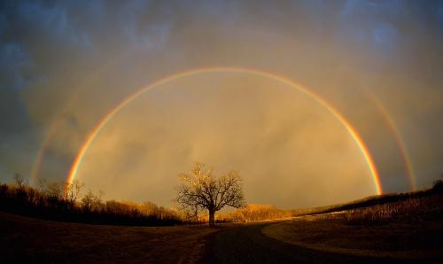 Life Can Be Beautiful  - Don't be afraid that your life will end, be afraid that it will never begin. May a rainbow brighten your day....Mari